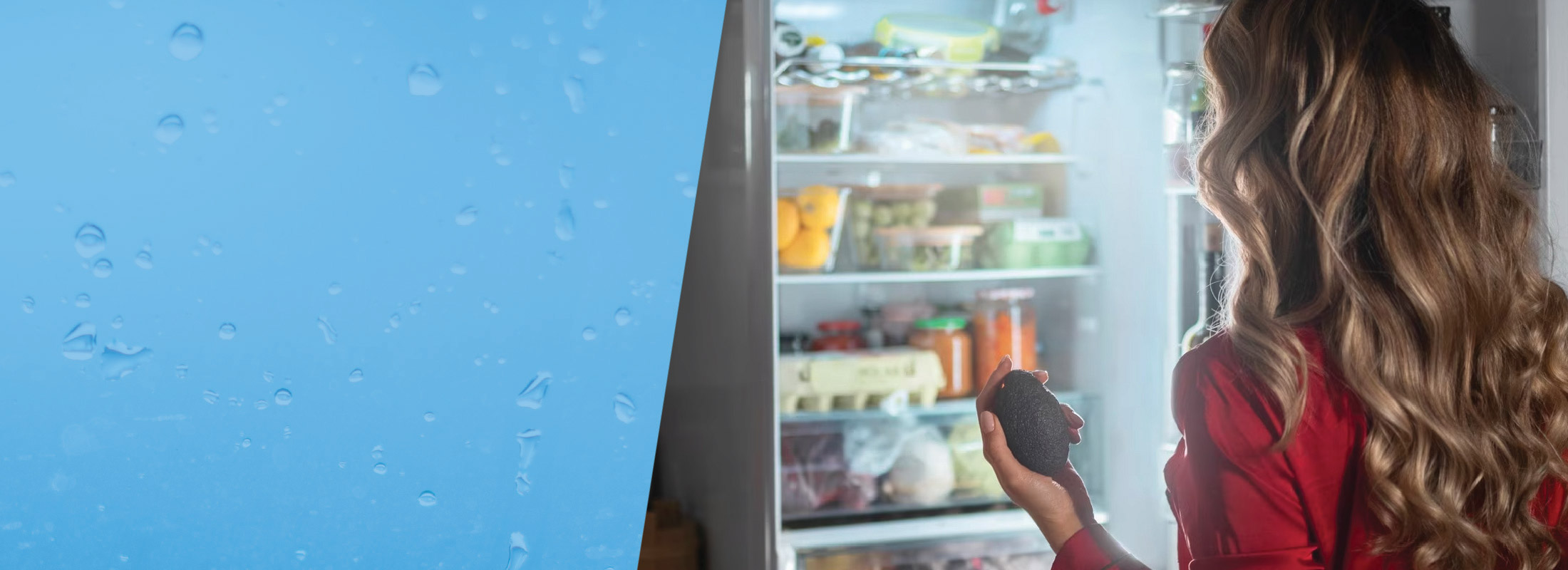 We service all fridge & freezer brands